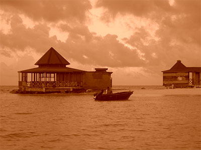 FDotografia Freelance